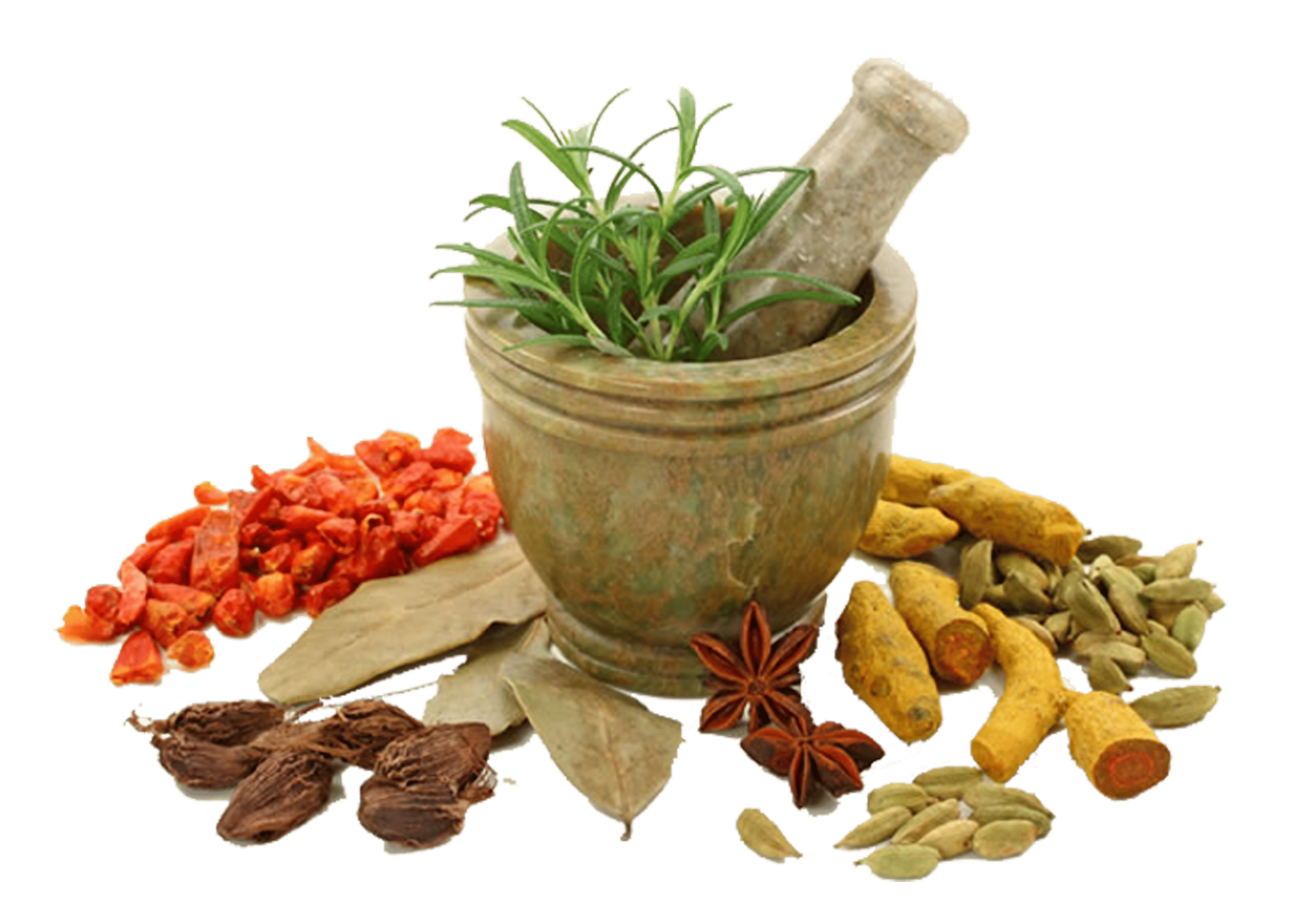 organic herbs and spices suppliers