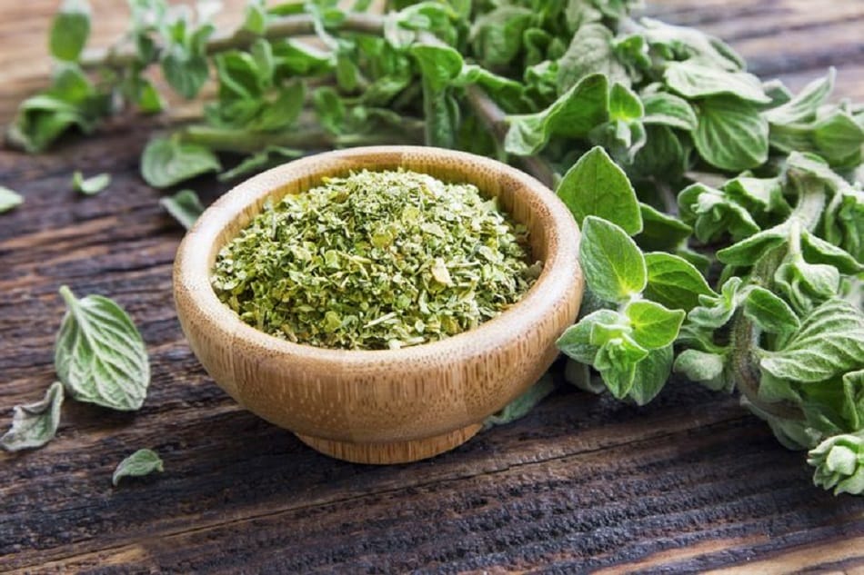 Oregano Benefits for Body Health