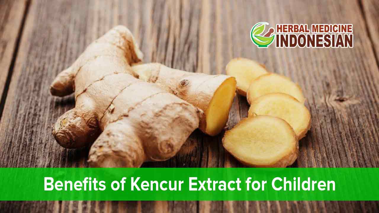 Benefits of Kencur Extract for Children