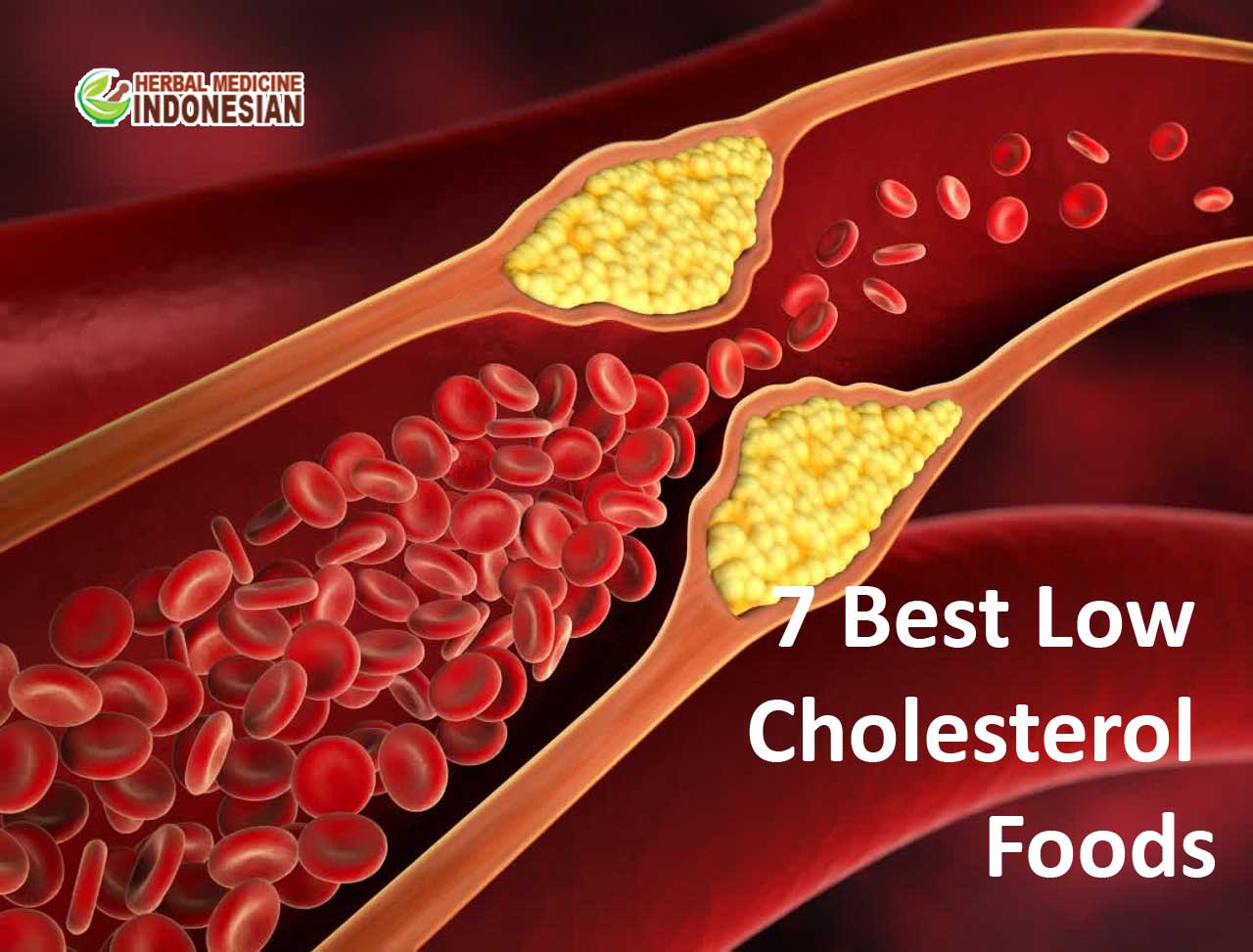 7 Best Low Cholesterol Foods