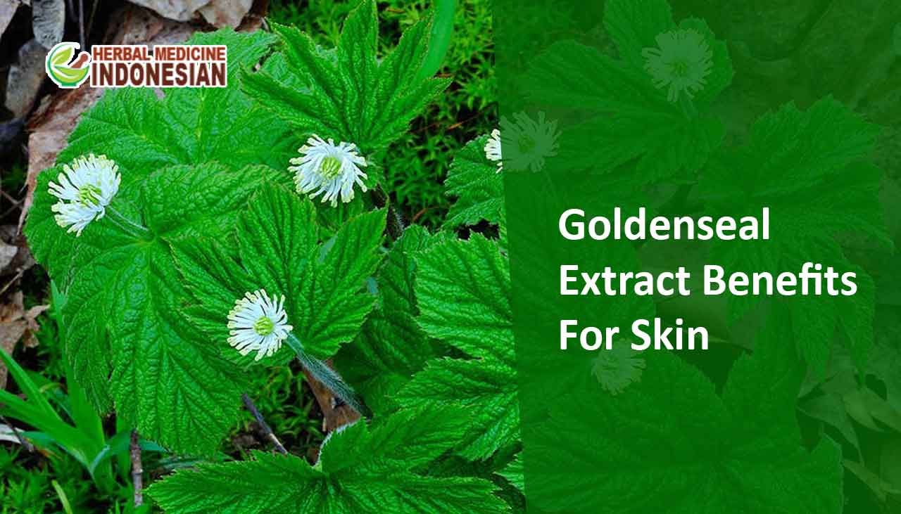 Goldenseal Extract Benefits For Skin