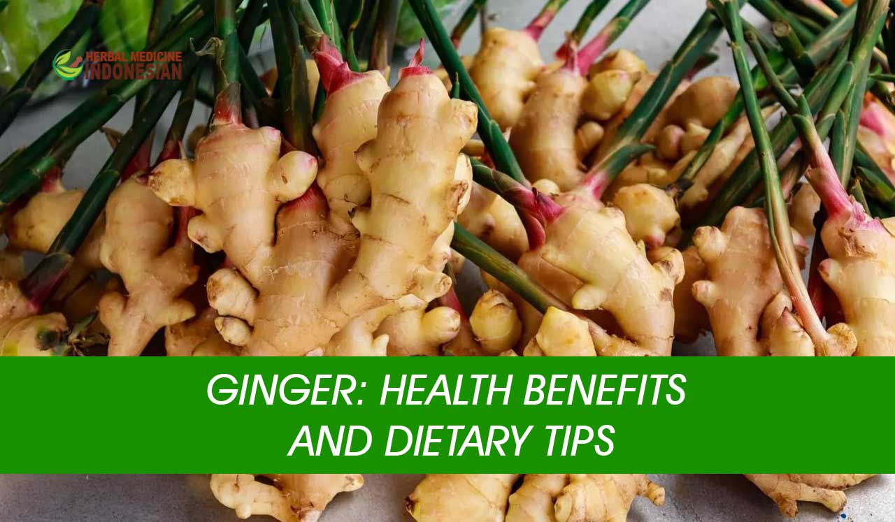 Ginger Health Benefits and Dietary Tips