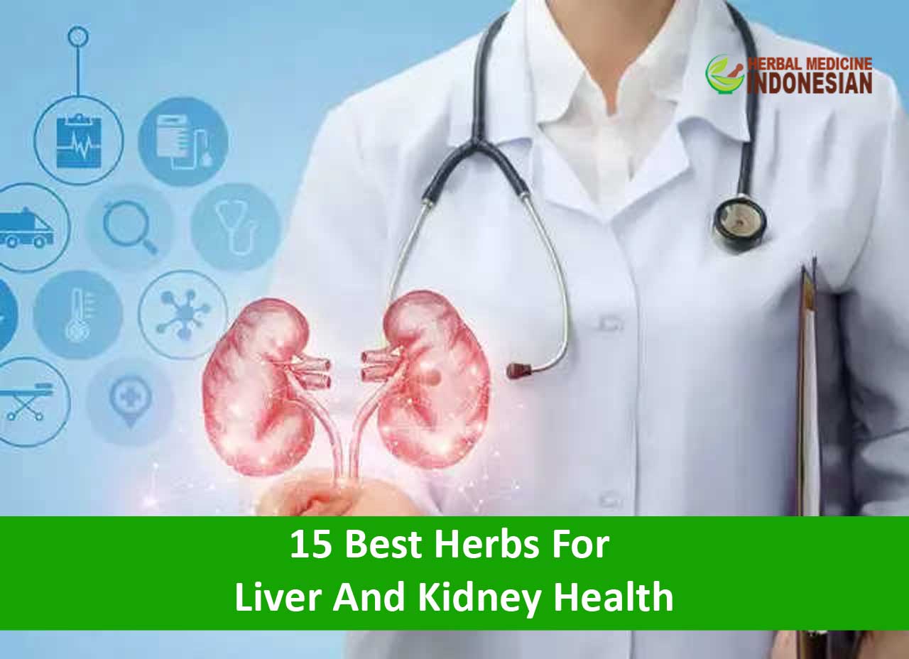 Best Herbs For Liver And Kidney Health