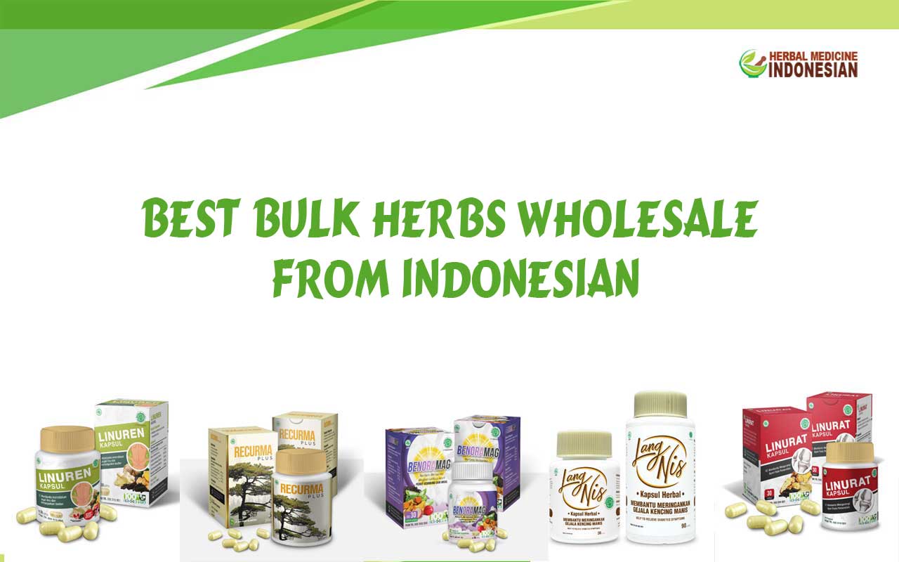 Best Bulk Herbs Wholesale from Indonesian