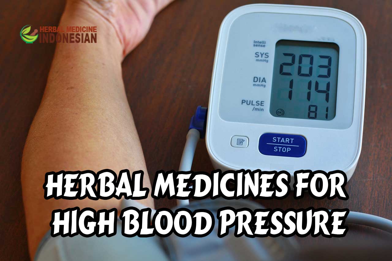 Herbal Medicines for High Blood Pressure