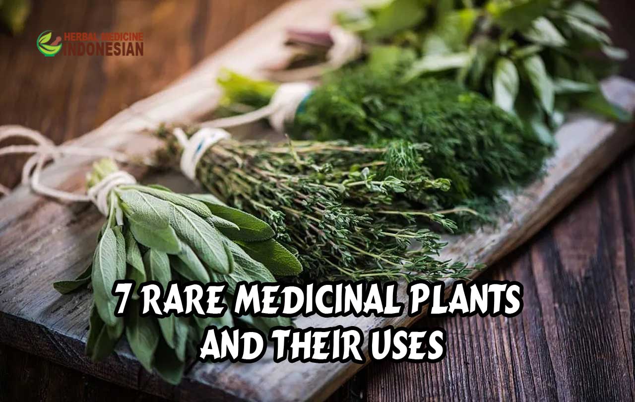 Medicinal Plants