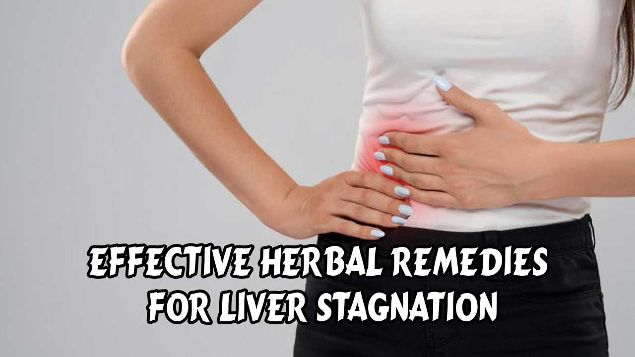 Herbal Remedies for Liver Stagnation