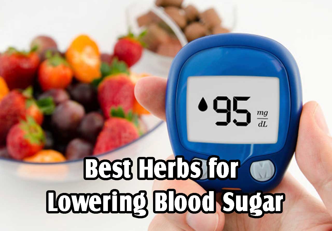 Best Herbs for Lowering Blood Sugar