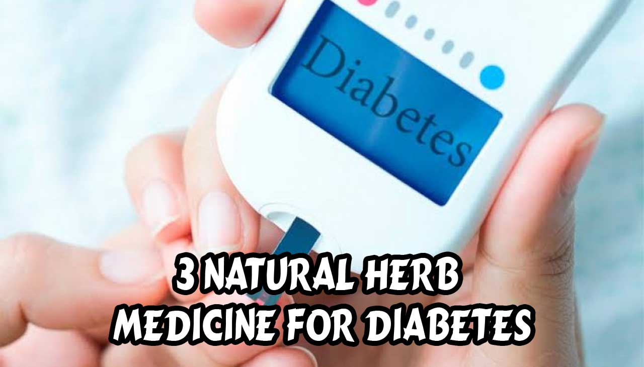 3 Natural Herb Medicine for Diabetes