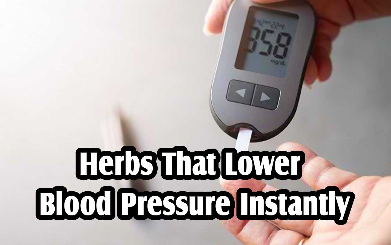 Herbs That Lower Blood Pressure Instantly