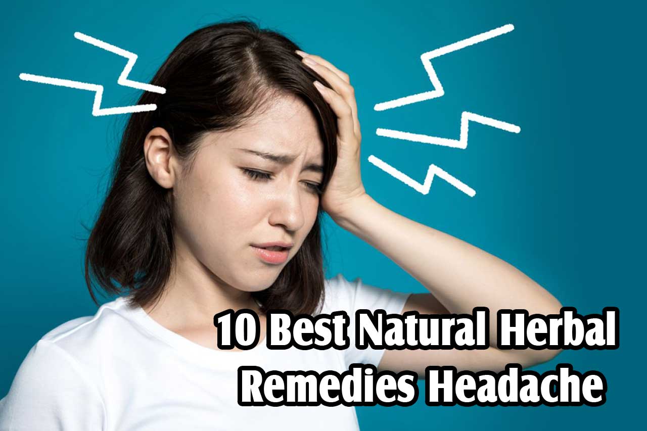 herbal remedies headache