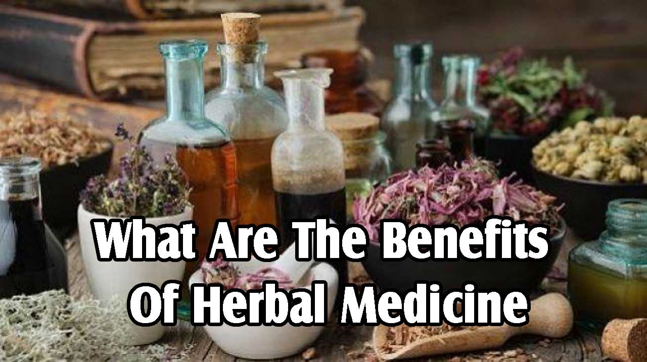 What Are The Benefits Of Herbal Medicine