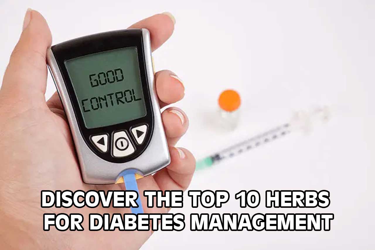 top 10 herbs for diabetes