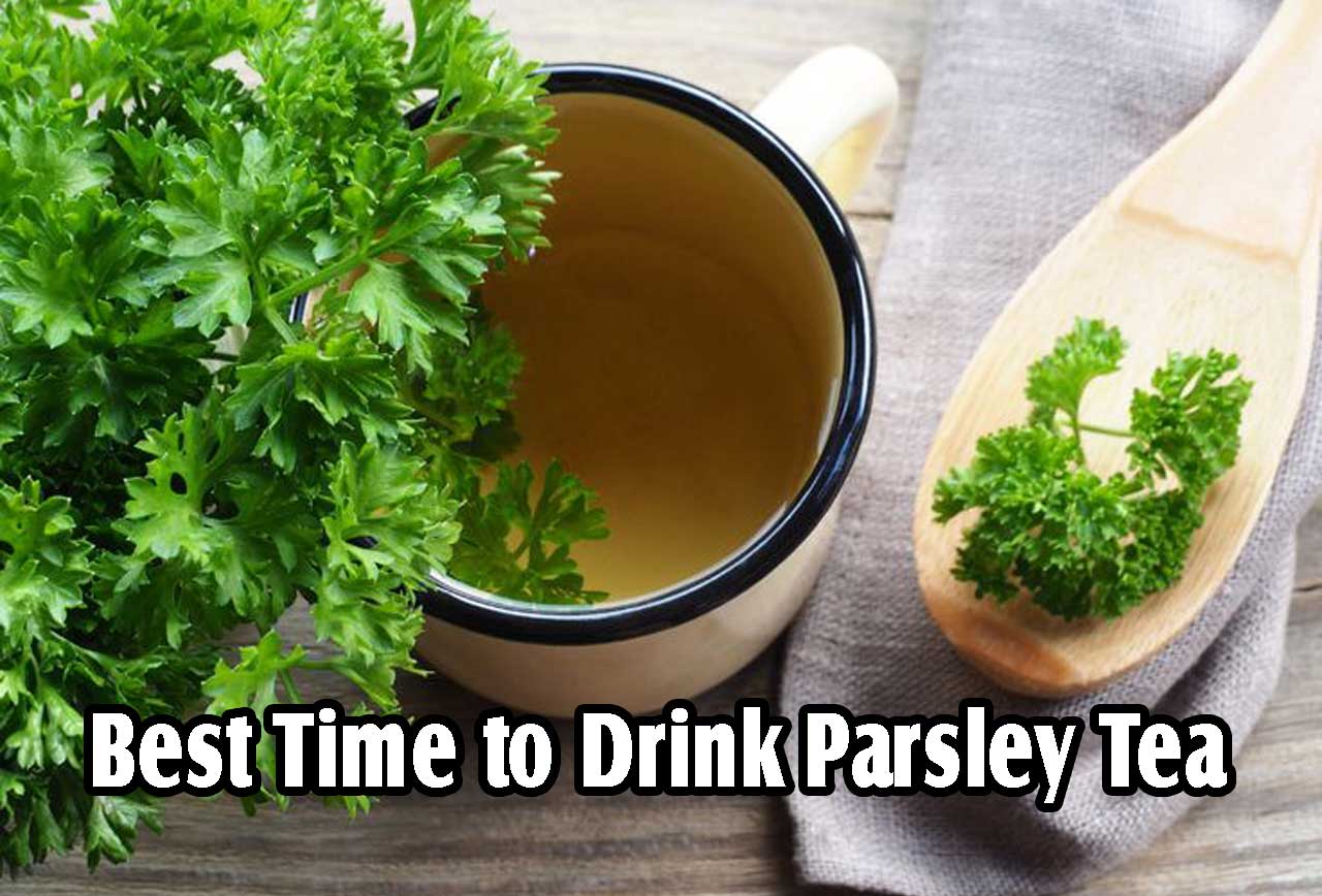 Best Time to Drink Parsley Tea