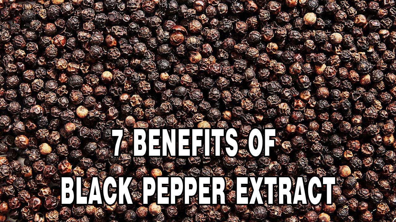 Benefits of Black Pepper Extract