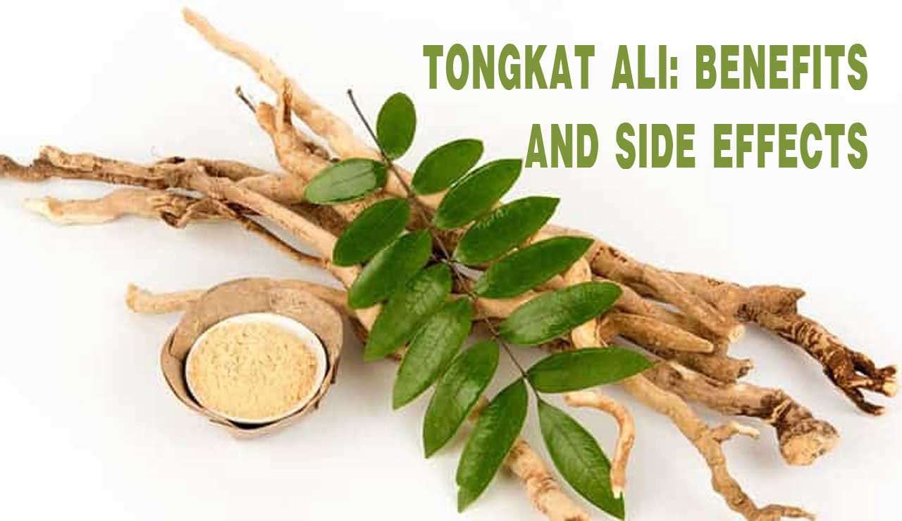 tongkat ali benefits and side effects