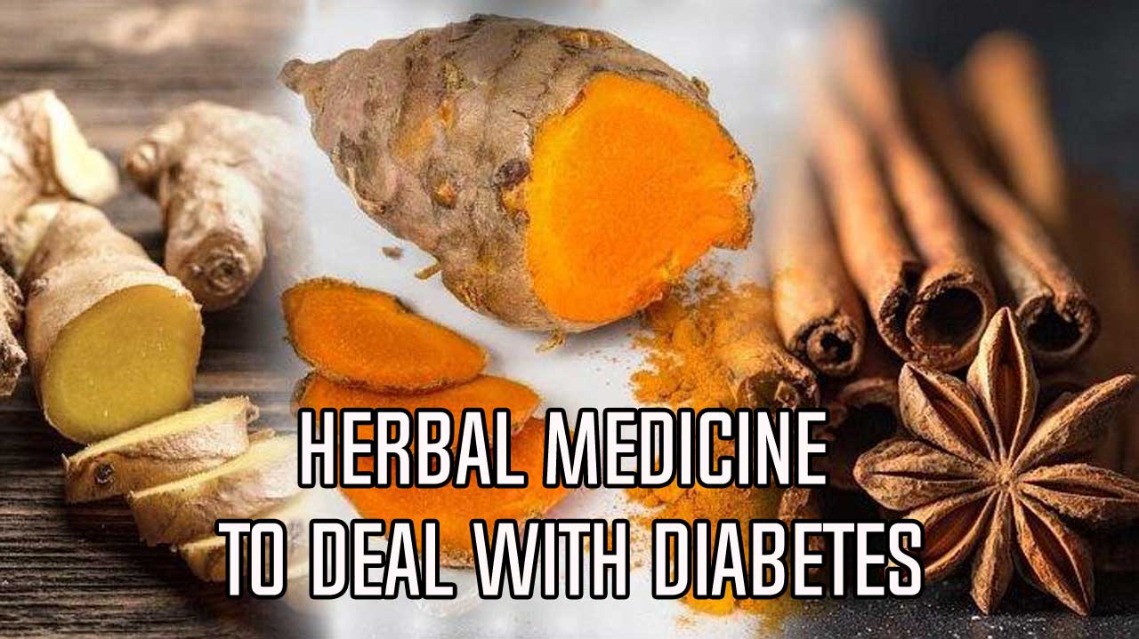 5 Best Ingredients Herbal Medicine to Deal with Diabetes