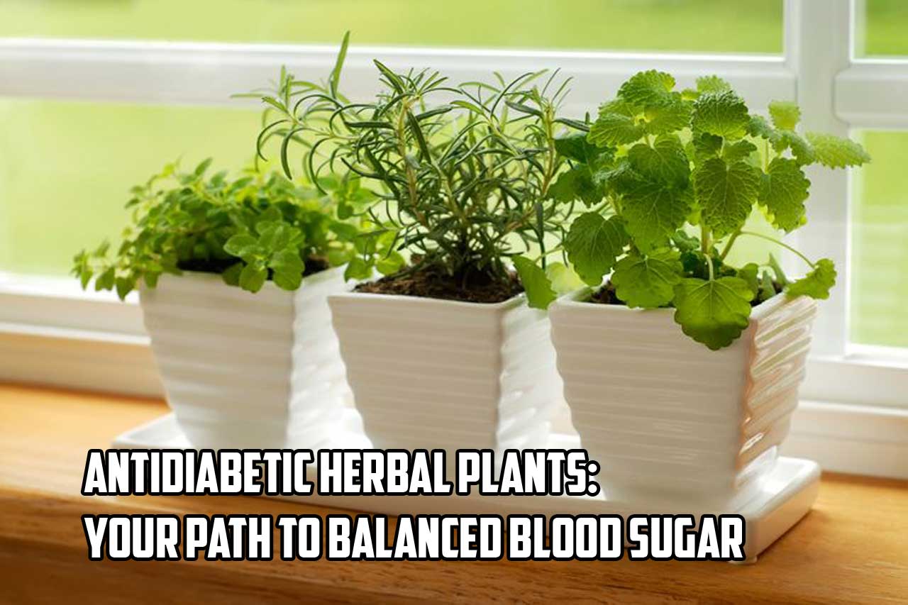 Antidiabetic Herbal Plants: Your Path to Balanced Blood Sugar