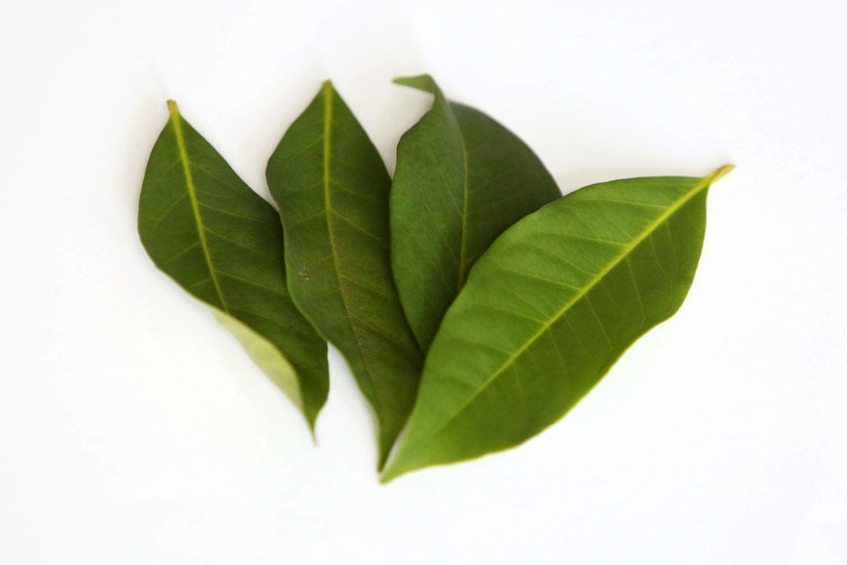 bay leaves