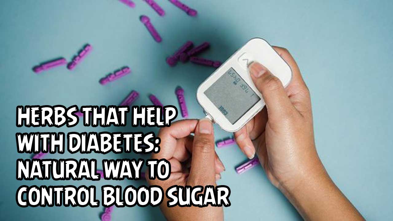 Herbs That Help With Diabetes: Natural Way to Control Blood Sugar