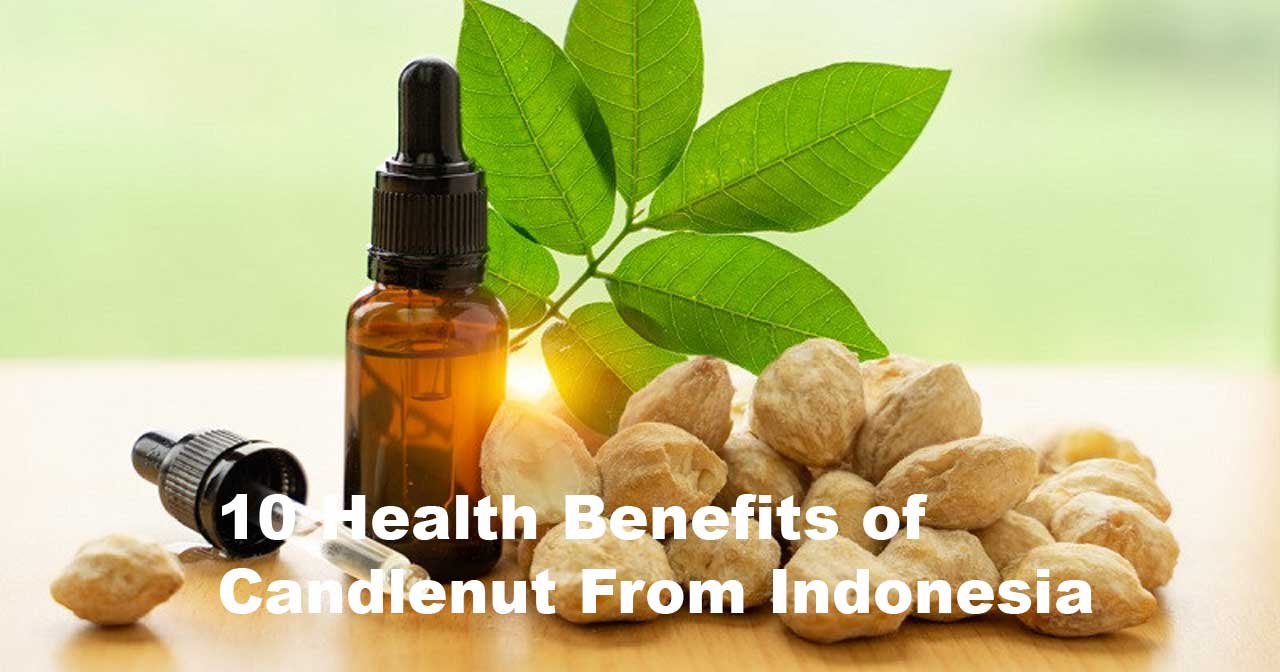 10 Health Benefits of Candlenut From Indonesia