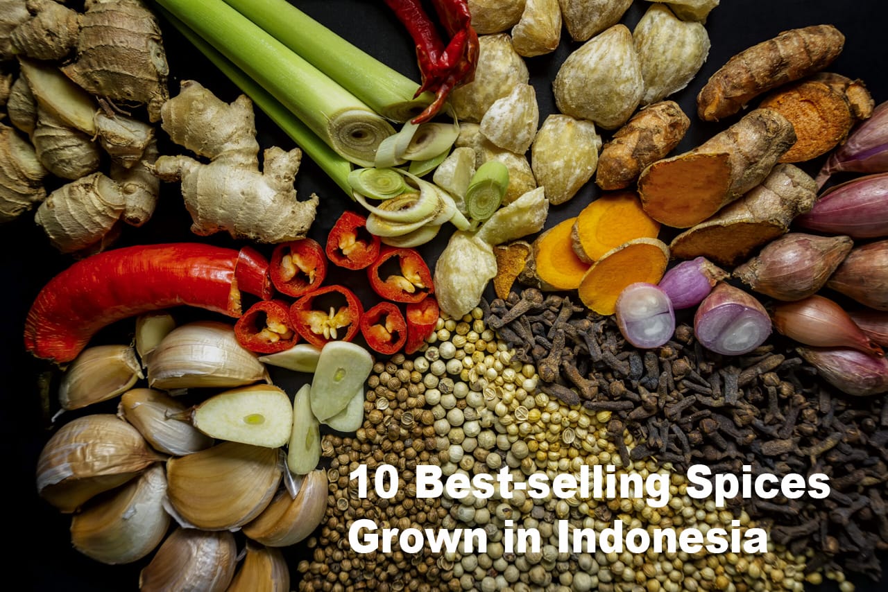 10 Best-Selling Spices Grown in Indonesia