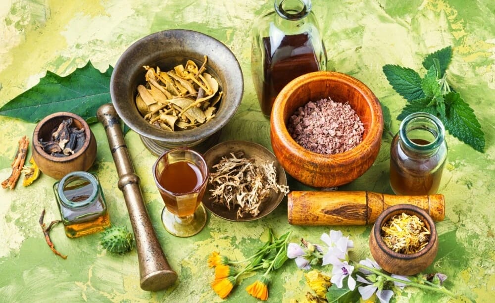 7 Types of Herbal Plants for Kidney Disease