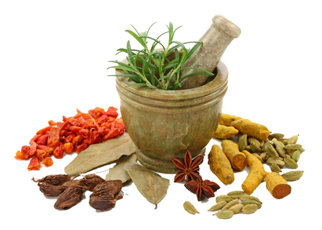 herbal product manufacturer