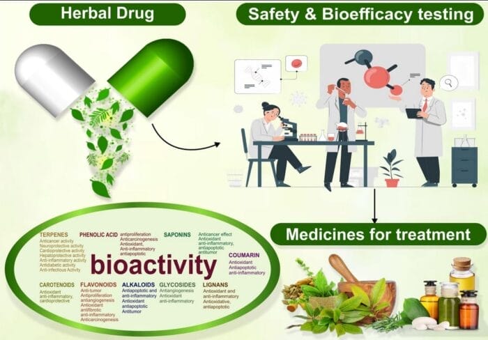 A Study of the Efficacy of Indonesian Herbal Medicine in Treating Health Conditions