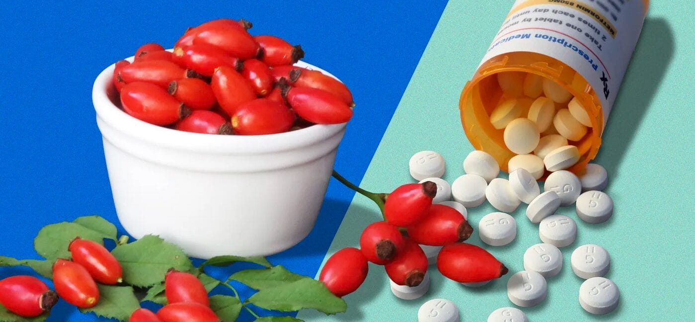 Berberine Versus Metformin
